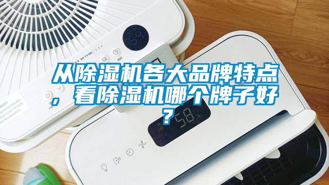 從除濕機(jī)各大品牌特點(diǎn), 看除濕機(jī)哪個(gè)牌子好？