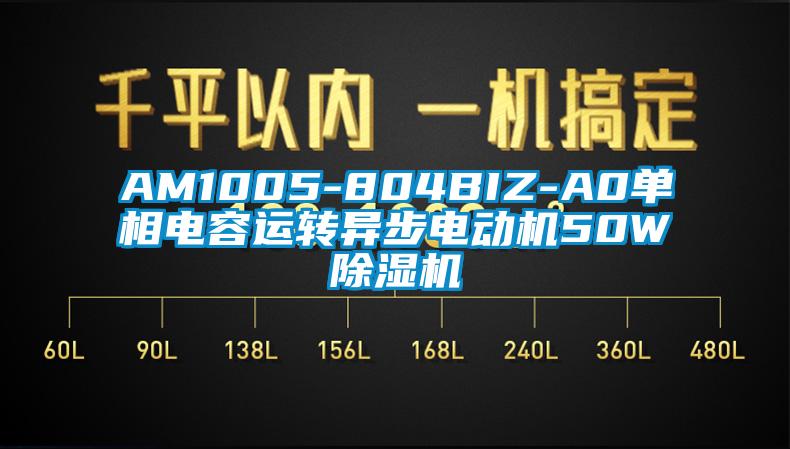 AM1005-804BIZ-A0單相電容運(yùn)轉(zhuǎn)異步電動(dòng)機(jī)50W除濕機(jī)