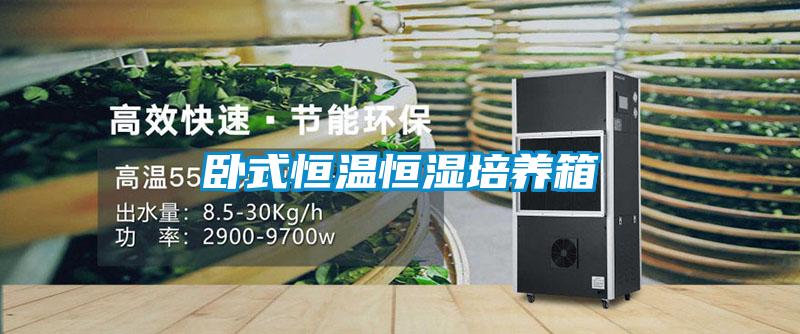 臥式恒溫恒濕培養箱