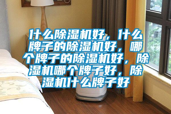 什么除濕機好，什么牌子的除濕機好，哪個牌子的除濕機好，除濕機哪個牌子好，除濕機什么牌子好