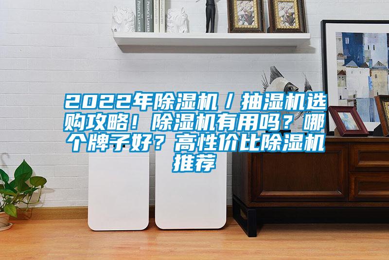 2022年除濕機／抽濕機選購攻略！除濕機有用嗎？哪個牌子好？高性價比除濕機推薦