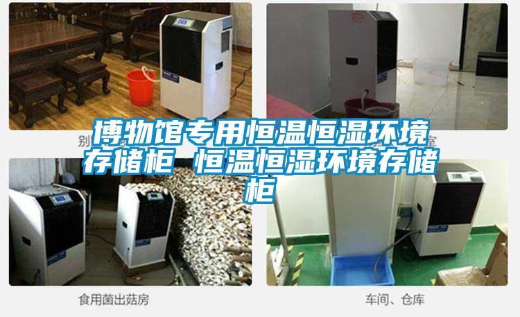 博物館專用恒溫恒濕環境存儲柜 恒溫恒濕環境存儲柜