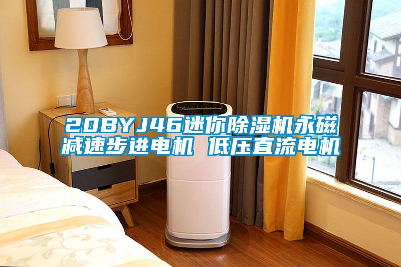 20BYJ46迷你除濕機永磁減速步進(jìn)電機 低壓直流電機