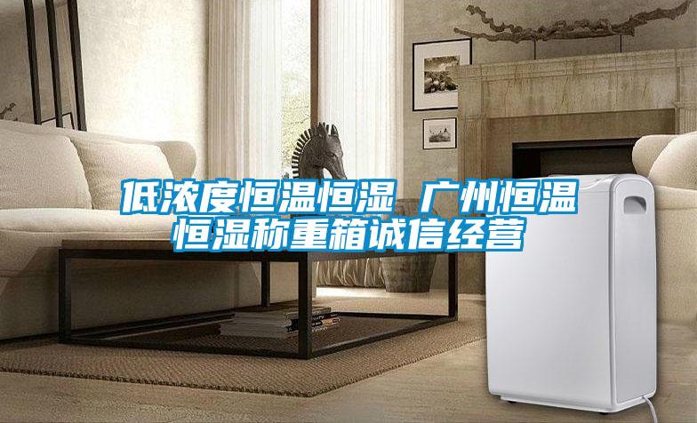 低濃度恒溫恒濕 廣州恒溫恒濕稱重箱誠信經營