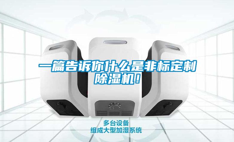 一篇告訴你什么是非標定制除濕機！