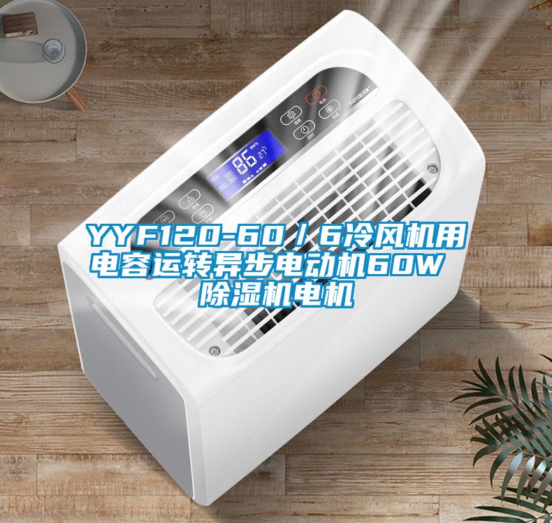 YYF120-60／6冷風機用電容運轉(zhuǎn)異步電動機60W 除濕機電機