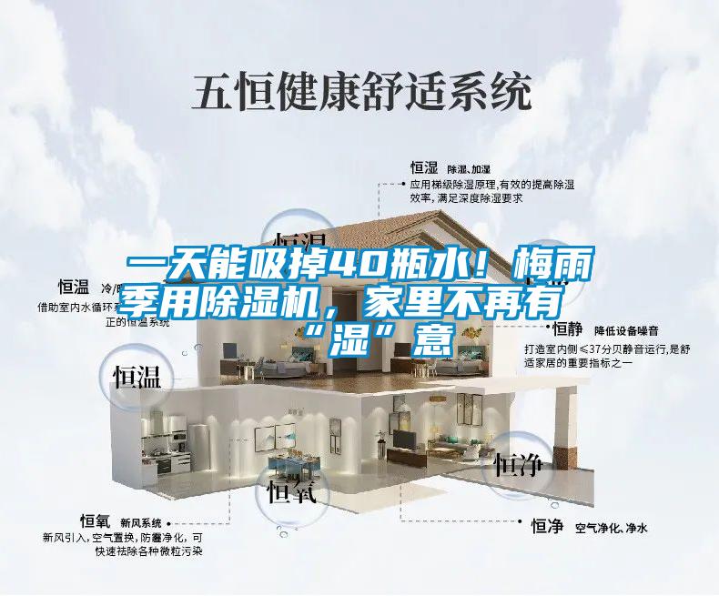一天能吸掉40瓶水！梅雨季用除濕機(jī)，家里不再有“濕”意