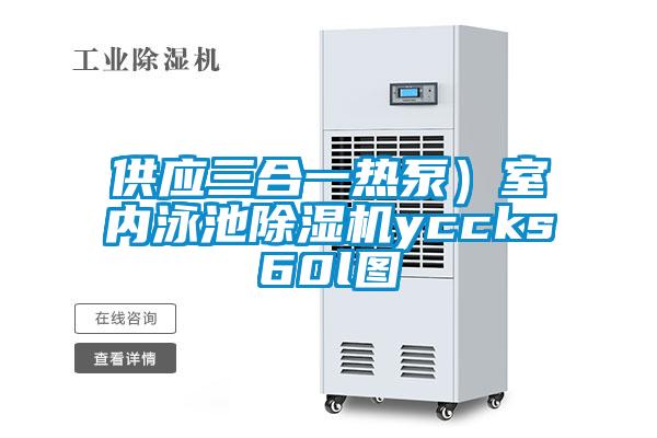 供應(yīng)三合一熱泵）室內(nèi)泳池除濕機(jī)yccks60l圖