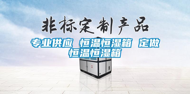 專業供應 恒溫恒濕箱 定做恒溫恒濕箱