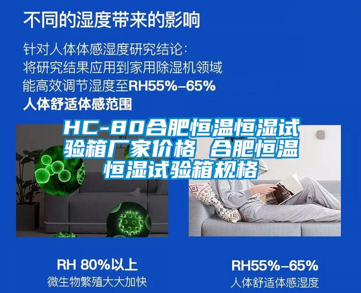 HC-80合肥恒溫恒濕試驗(yàn)箱廠家價(jià)格 合肥恒溫恒濕試驗(yàn)箱規(guī)格