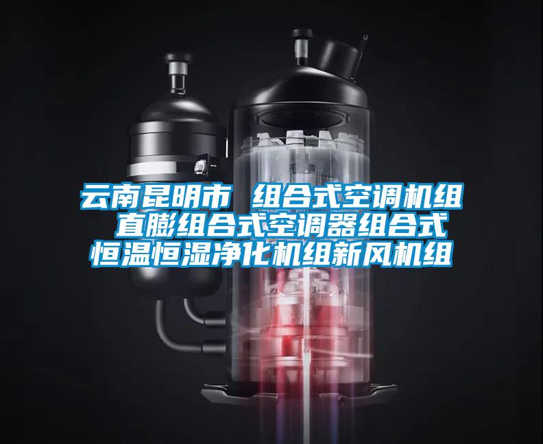 云南昆明市 組合式空調機組 直膨組合式空調器組合式恒溫恒濕凈化機組新風機組