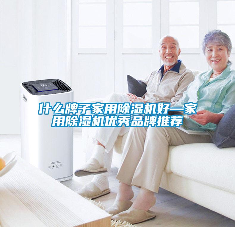什么牌子家用除濕機好—家用除濕機優秀品牌推薦