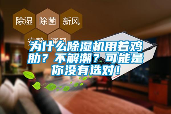 為什么除濕機用著雞肋？不解潮？可能是你沒有選對！
