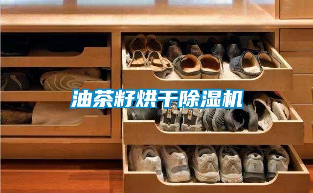 油茶籽烘干除濕機
