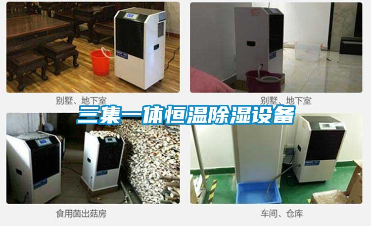 三集一體恒溫除濕設備