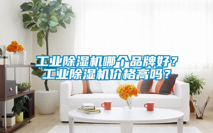 工業(yè)除濕機(jī)哪個(gè)品牌好？工業(yè)除濕機(jī)價(jià)格高嗎？