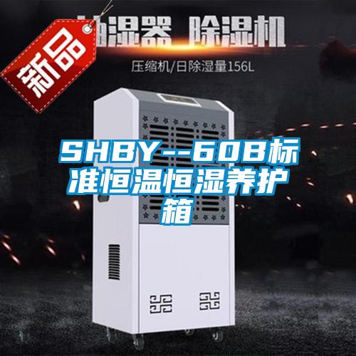 SHBY--60B標準恒溫恒濕養(yǎng)護箱