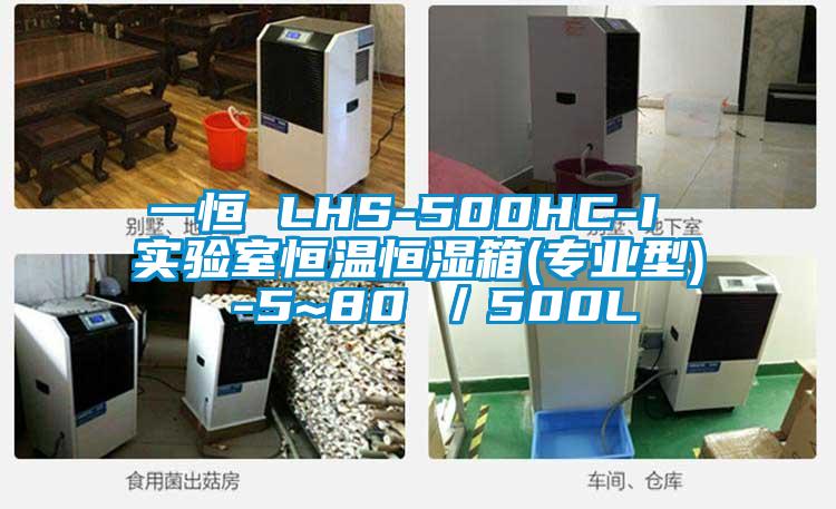 一恒 LHS-500HC-I 實驗室恒溫恒濕箱(專業型) -5~80℃／500L