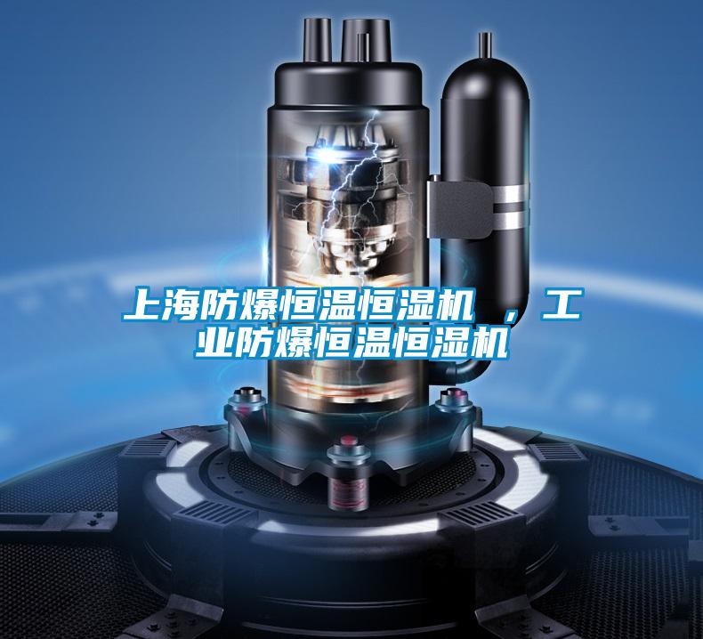 上海防爆恒溫恒濕機(jī) ，工業(yè)防爆恒溫恒濕機(jī)
