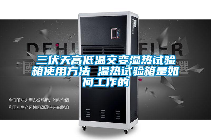三伏天高低溫交變濕熱試驗箱使用方法 濕熱試驗箱是如何工作的