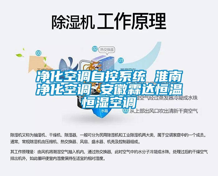 凈化空調(diào)自控系統(tǒng) 淮南凈化空調(diào) 安徽霖達(dá)恒溫恒濕空調(diào)