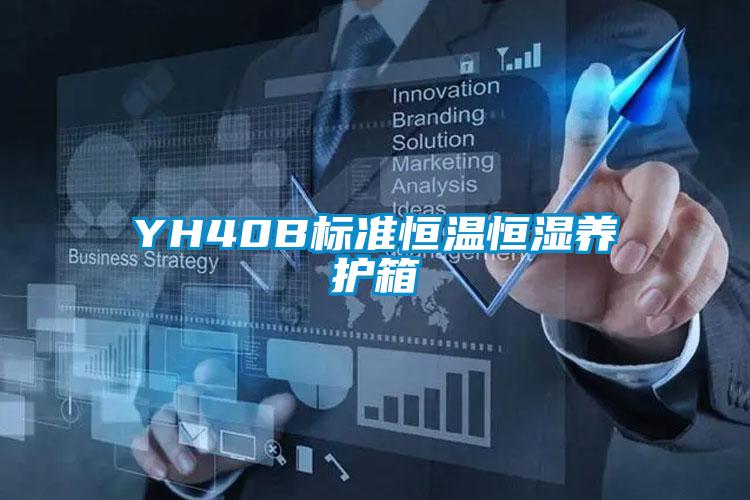 YH40B標準恒溫恒濕養護箱