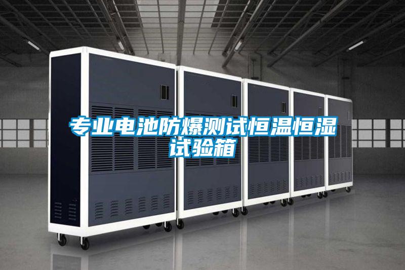 專業電池防爆測試恒溫恒濕試驗箱