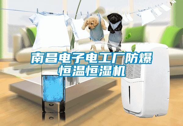 南昌電子電工廠防爆恒溫恒濕機(jī)