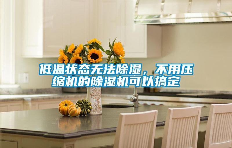低溫狀態(tài)無法除濕,不用壓縮機的除濕機可以搞定