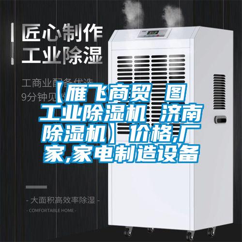 【雁飛商貿(mào) 圖  工業(yè)除濕機 濟南除濕機】價格,廠家,家電制造設備