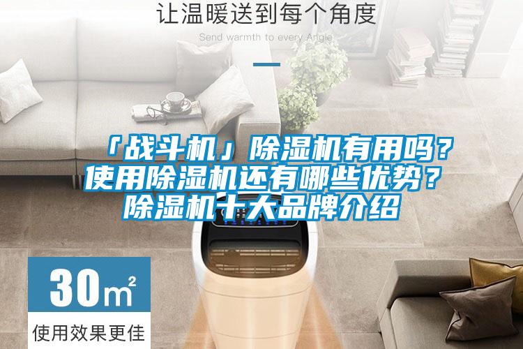 「戰(zhàn)斗機(jī)」除濕機(jī)有用嗎?使用除濕機(jī)還有哪些優(yōu)勢?除濕機(jī)十大品牌介紹