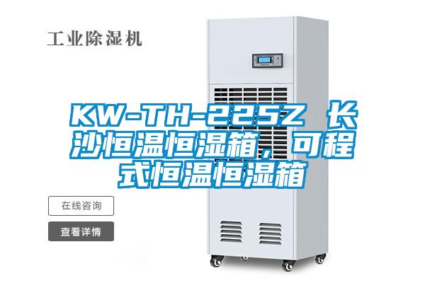 KW-TH-225Z 長沙恒溫恒濕箱，可程式恒溫恒濕箱