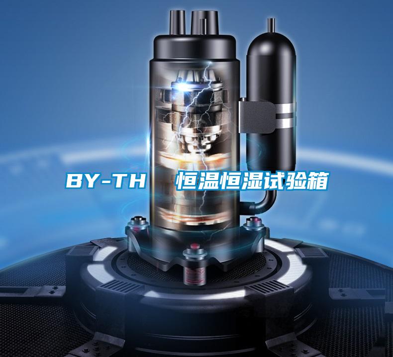 BY-TH  恒溫恒濕試驗(yàn)箱