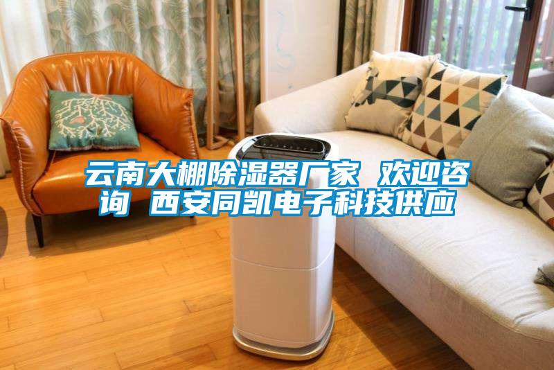 云南大棚除濕器廠家 歡迎咨詢 西安同凱電子科技供應