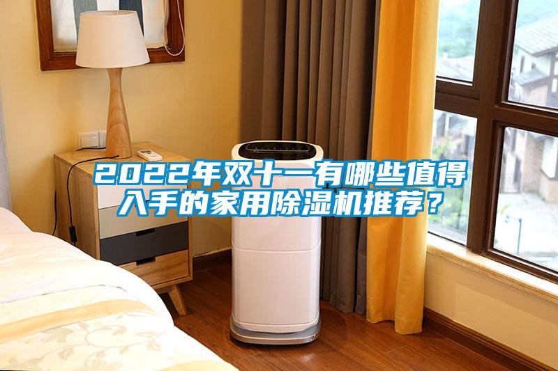 2022年雙十一有哪些值得入手的家用除濕機推薦？