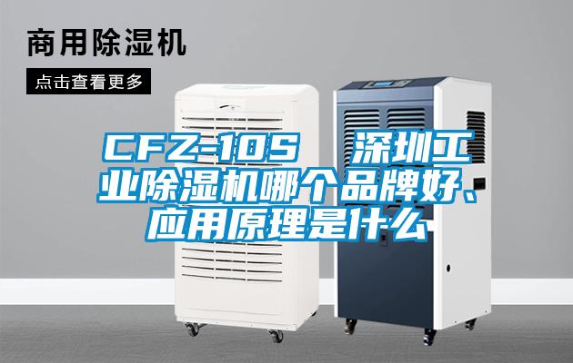 CFZ-10S  深圳工業(yè)除濕機(jī)哪個(gè)品牌好、應(yīng)用原理是什么