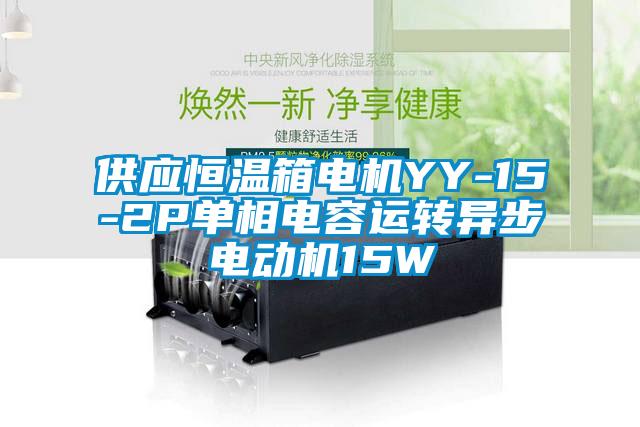 供應恒溫箱電機YY-15-2P單相電容運轉異步電動機15W