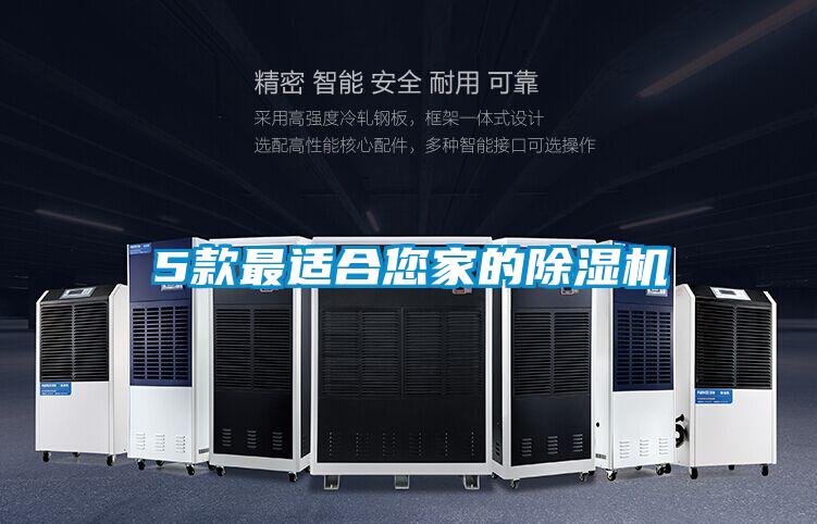 5款最適合您家的除濕機