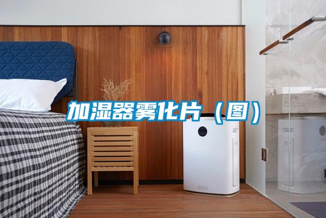 加濕器霧化片（圖）