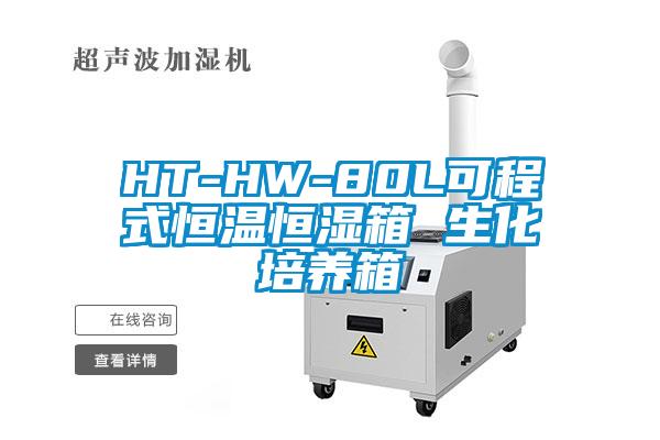 HT-HW-80L可程式恒溫恒濕箱 生化培養箱