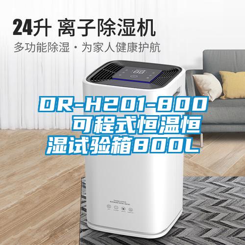 DR-H201-800  可程式恒溫恒濕試驗(yàn)箱800L