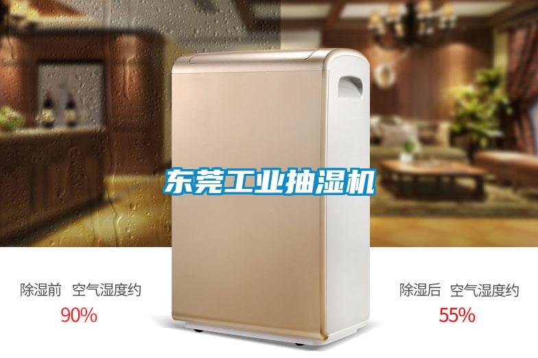東莞工業抽濕機