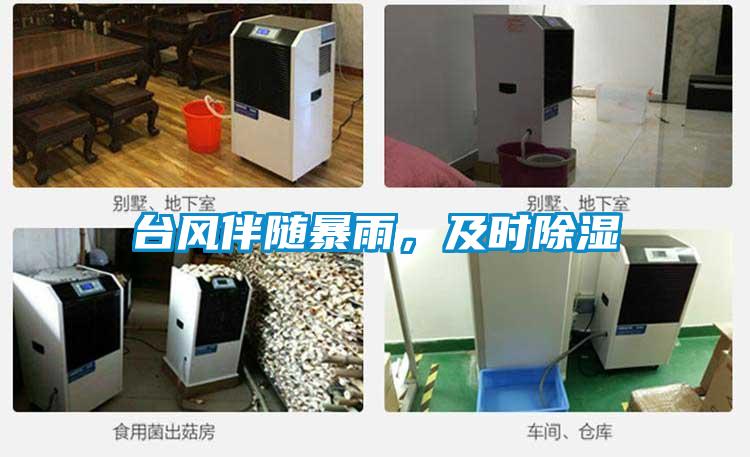 臺風(fēng)伴隨暴雨，及時除濕