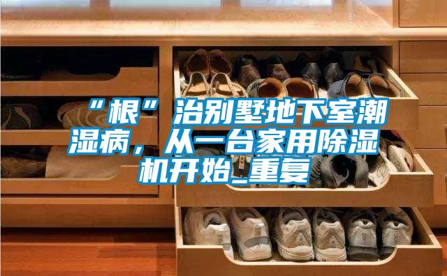 “根”治別墅地下室潮濕病，從一臺家用除濕機開始_重復