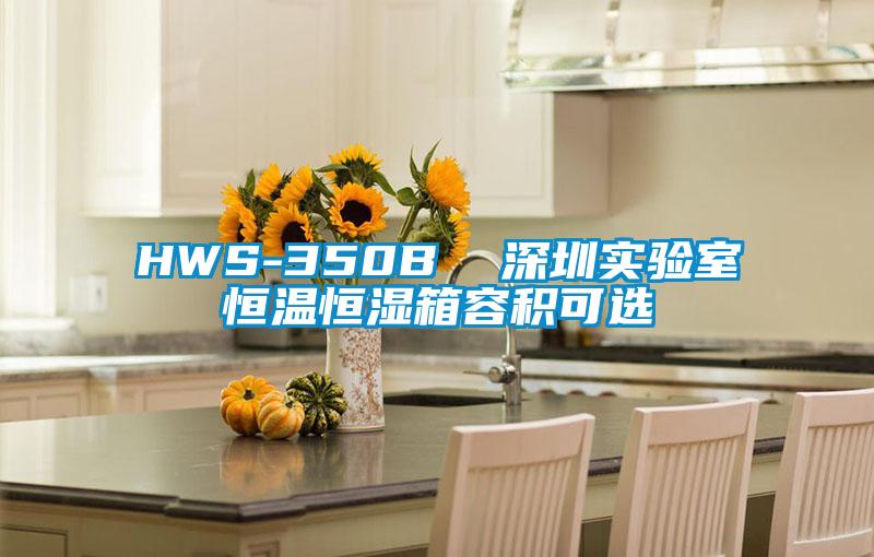 HWS-350B  深圳實(shí)驗(yàn)室恒溫恒濕箱容積可選
