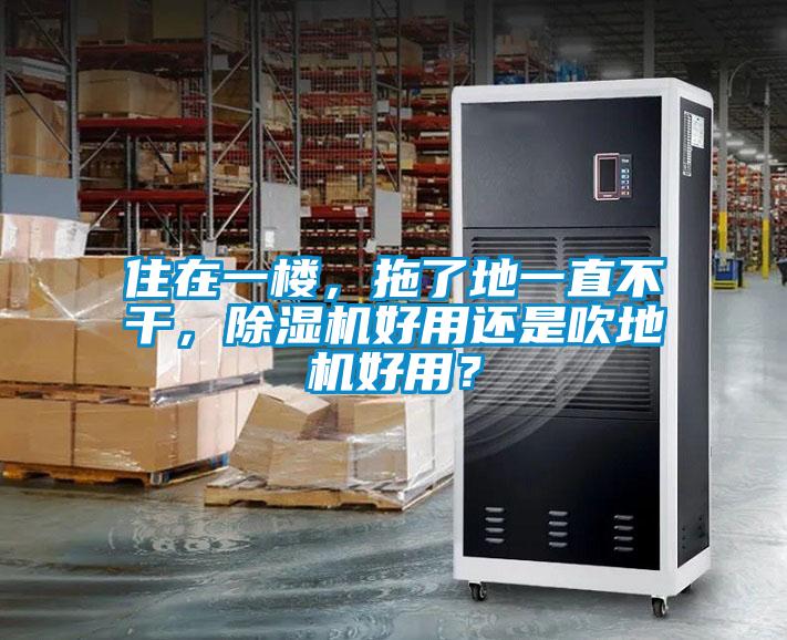 住在一樓，拖了地一直不干，除濕機好用還是吹地機好用？