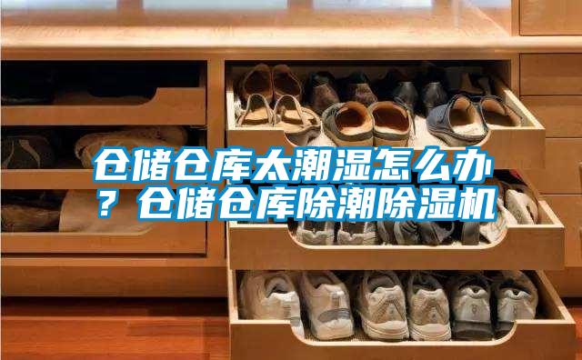 倉(cāng)儲(chǔ)倉(cāng)庫(kù)太潮濕怎么辦？倉(cāng)儲(chǔ)倉(cāng)庫(kù)除潮除濕機(jī)