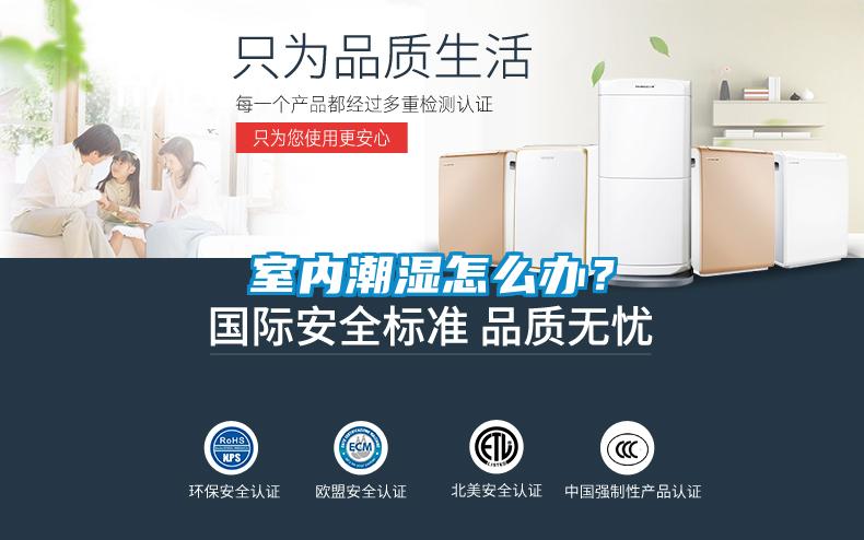 室內潮濕怎么辦？