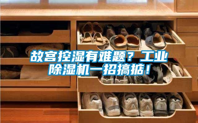 故宮控濕有難題？工業除濕機一招搞掂！