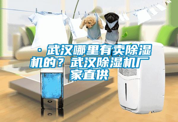 ·武漢哪里有賣除濕機的？武漢除濕機廠家直供